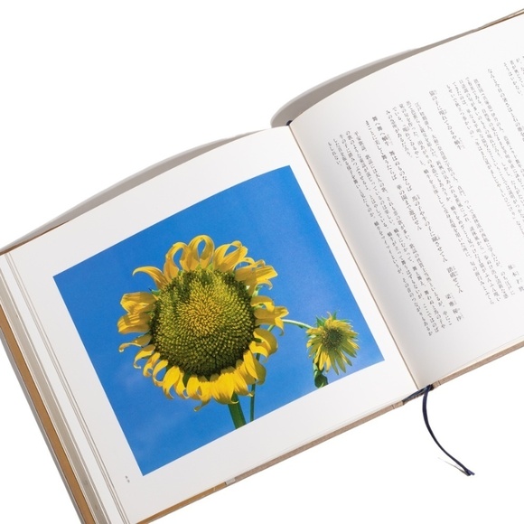 1983 Poems for All Seasons Hardcover (Japanese) with Dust Jacket by Ooka Makoto - Picture 3 of 7